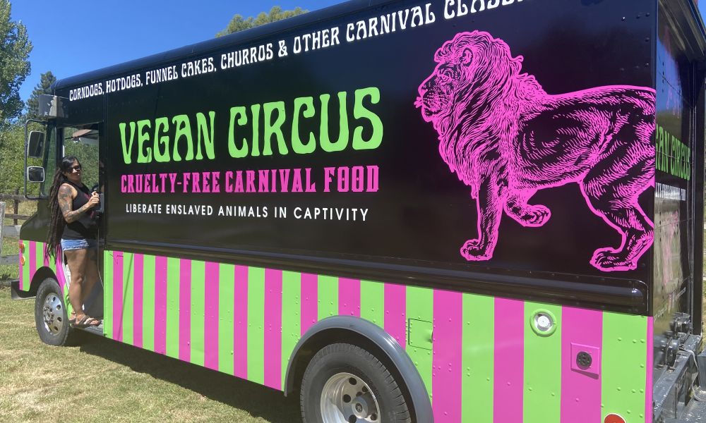 Vegan Circus