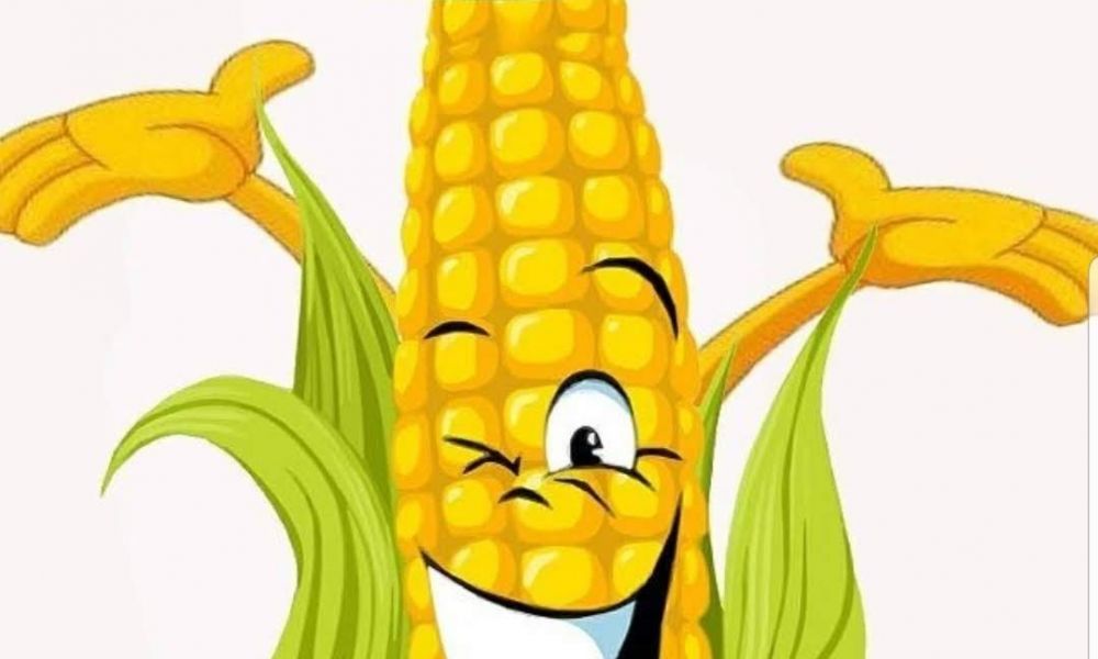 Fresh Corn n Evrythang