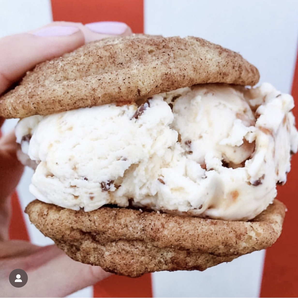 Ice Cream Sandwiches