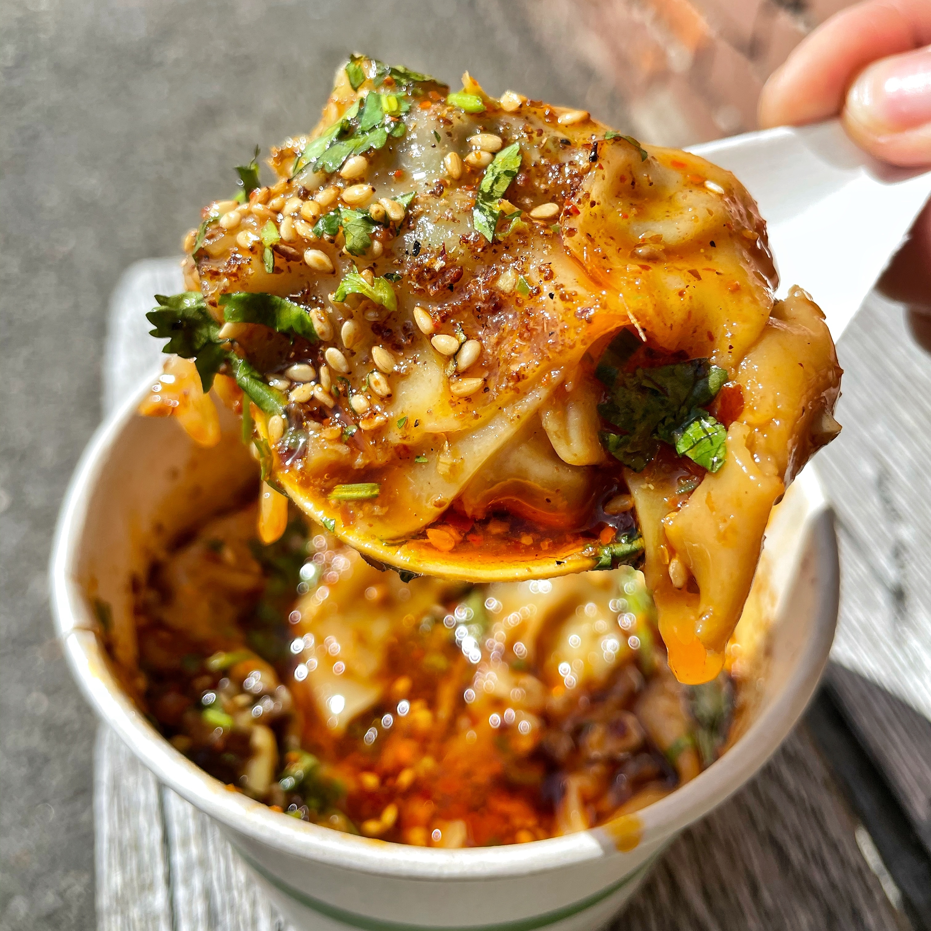 Sichuan Wontons