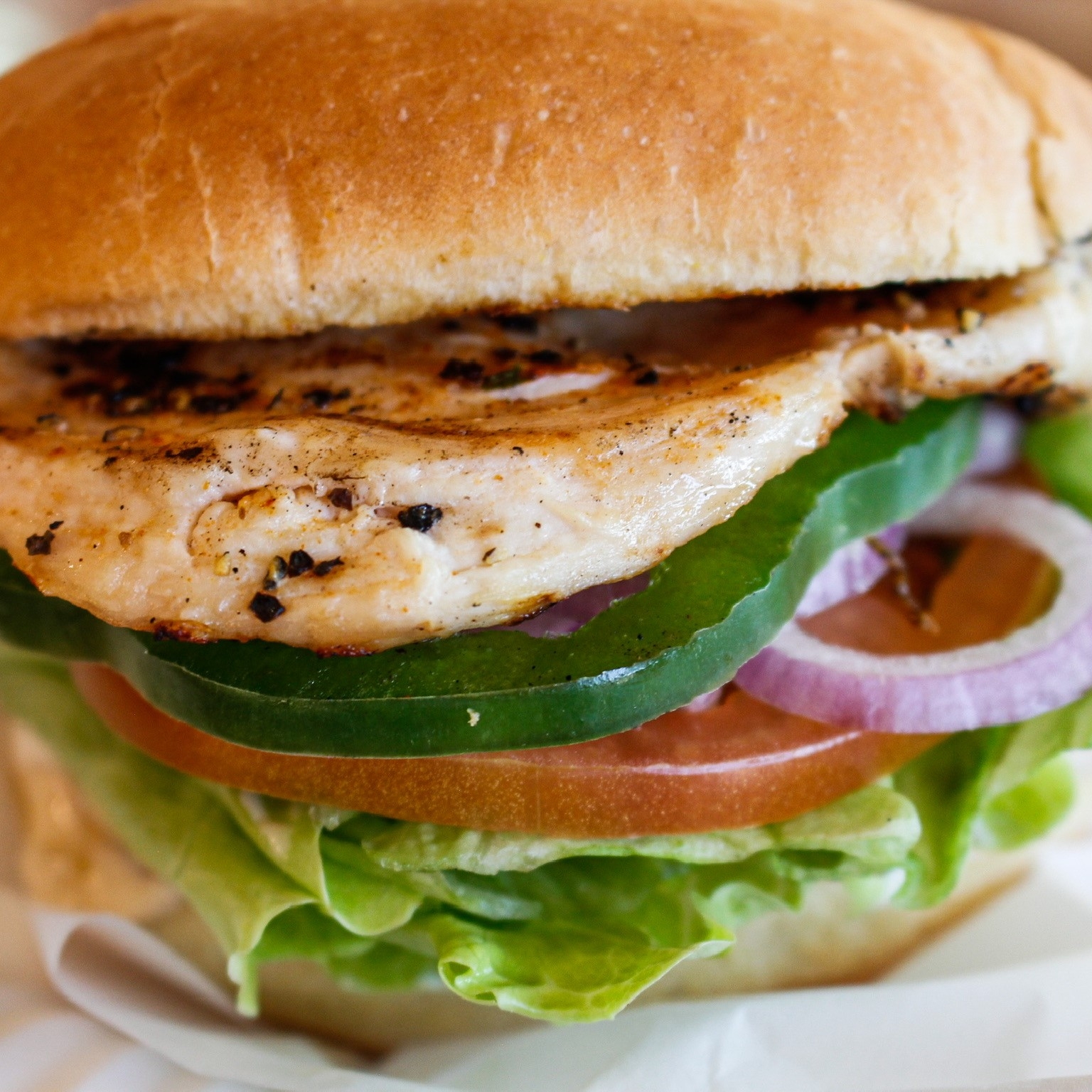 Marinated Chicken Sandwich