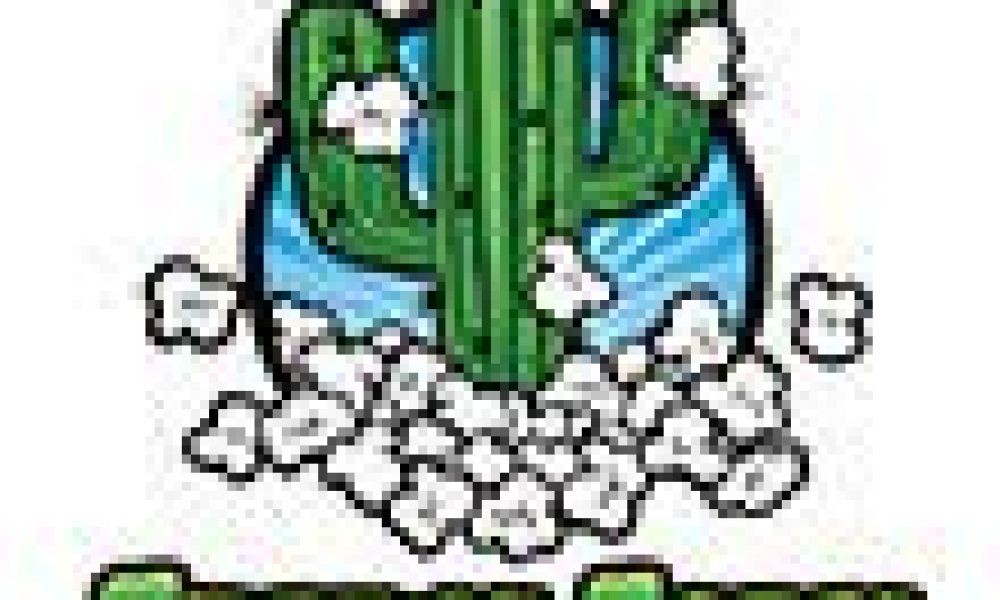 Cactus Corn